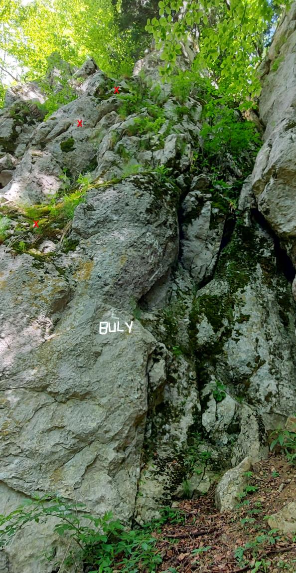 buli