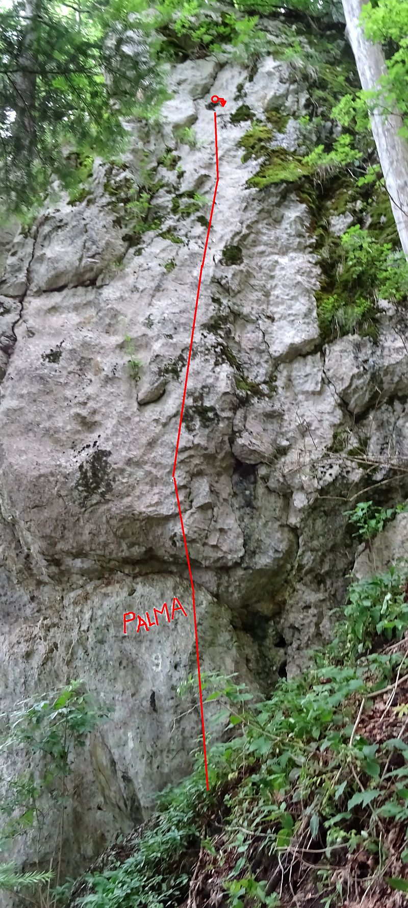 Sursă foto: Rupi (2021)