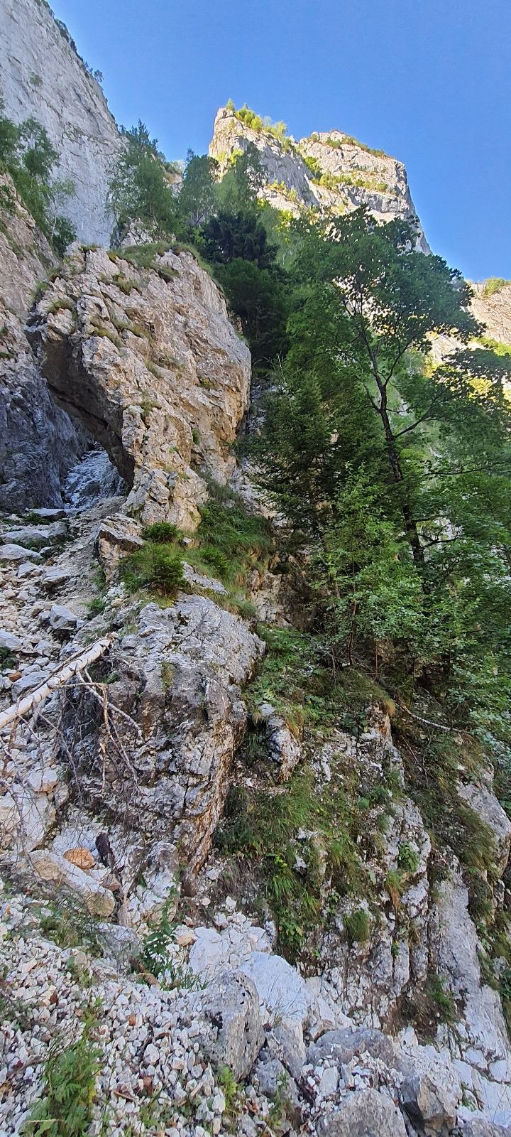 Victor Jalbă-Șoimaru