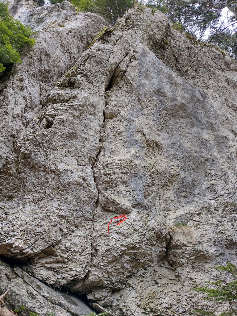 Sursă foto: Iulian Bogatu (2022)