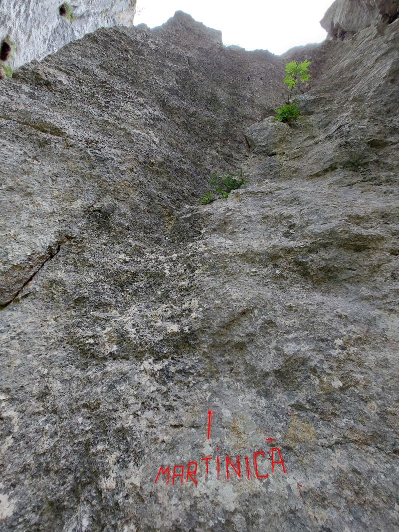 Sursă foto: Rupi (2022)