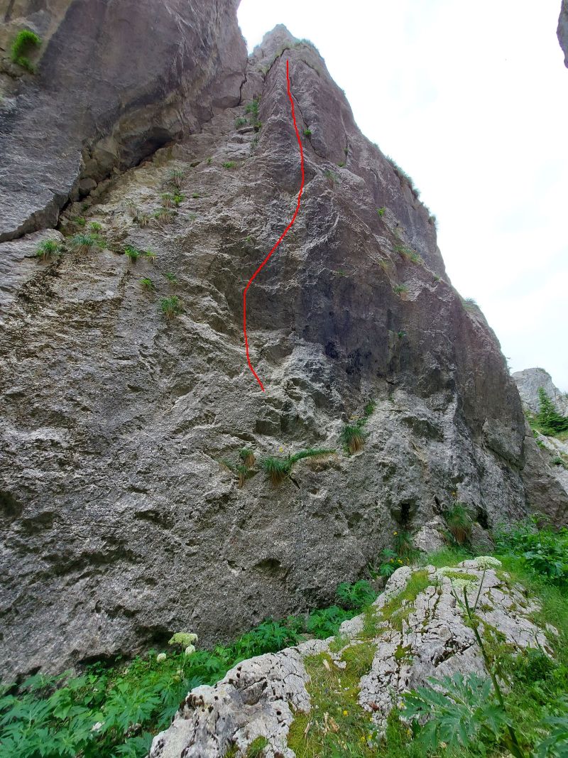 Sursă foto: Rupi (2022)