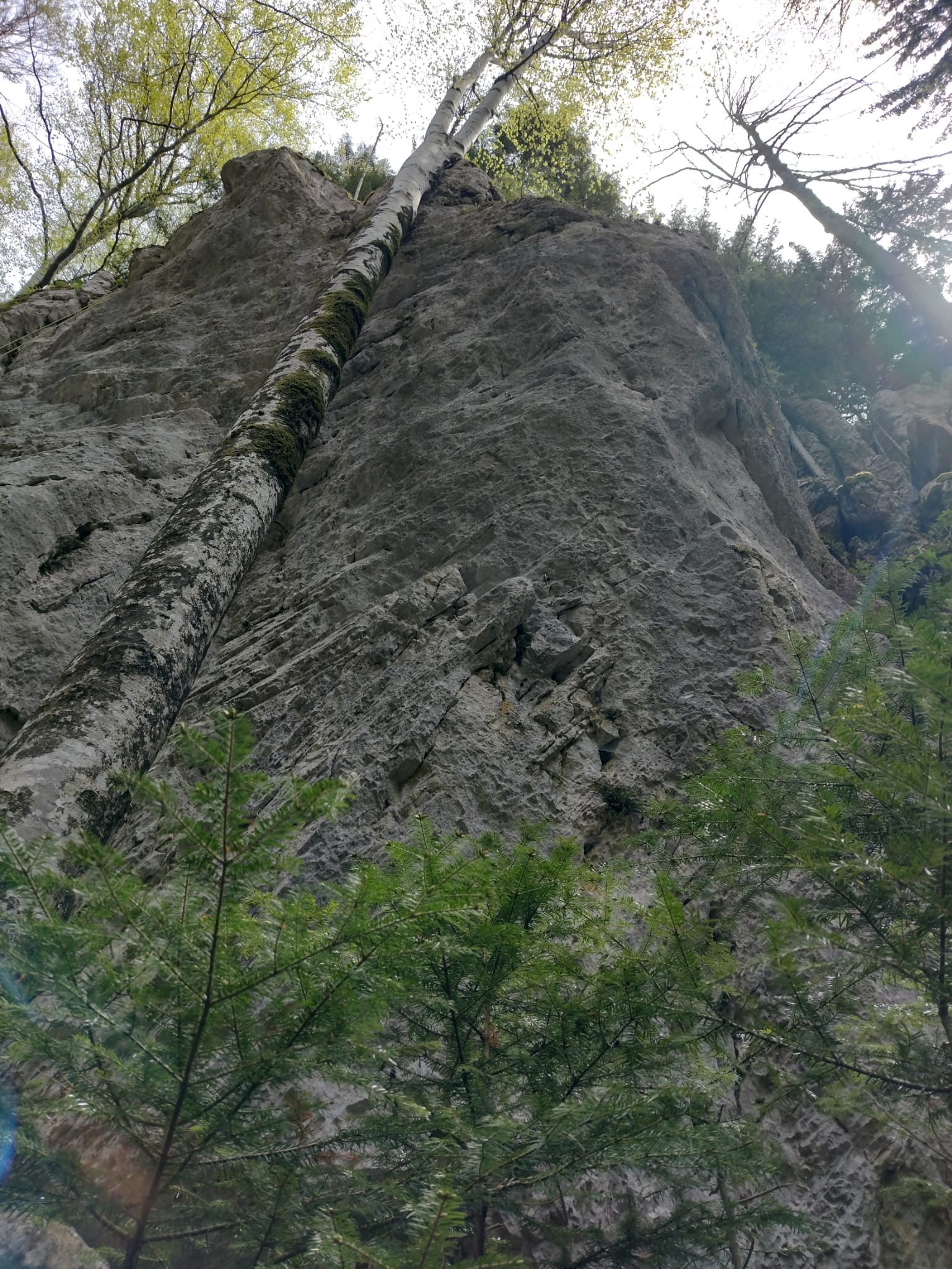 Sursă foto: Iulian Bogatu (2023)