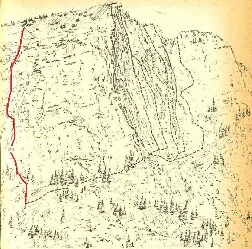 hornul mare de la izvor