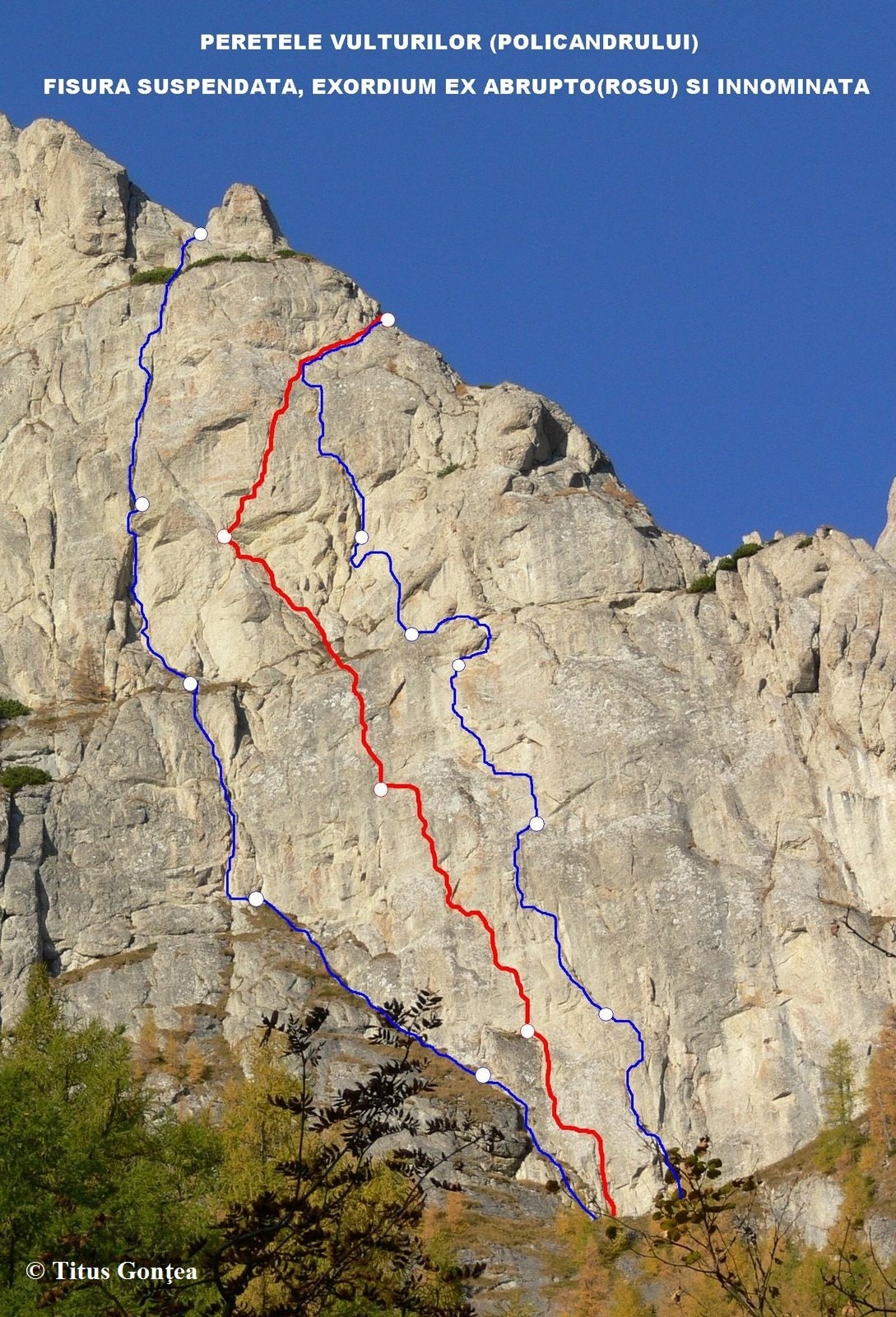 fisura suspendata