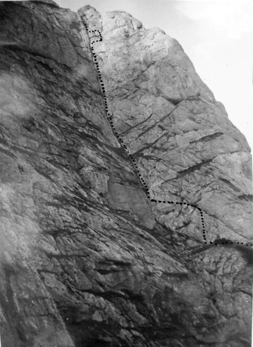 fisura galbenele