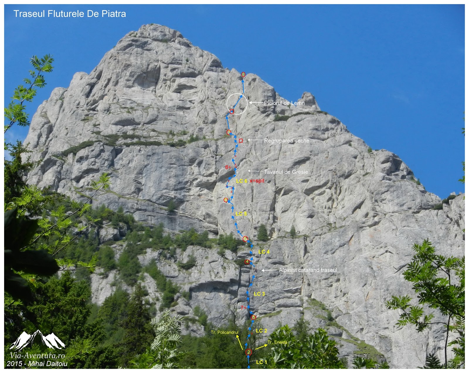 fluturele de piatra