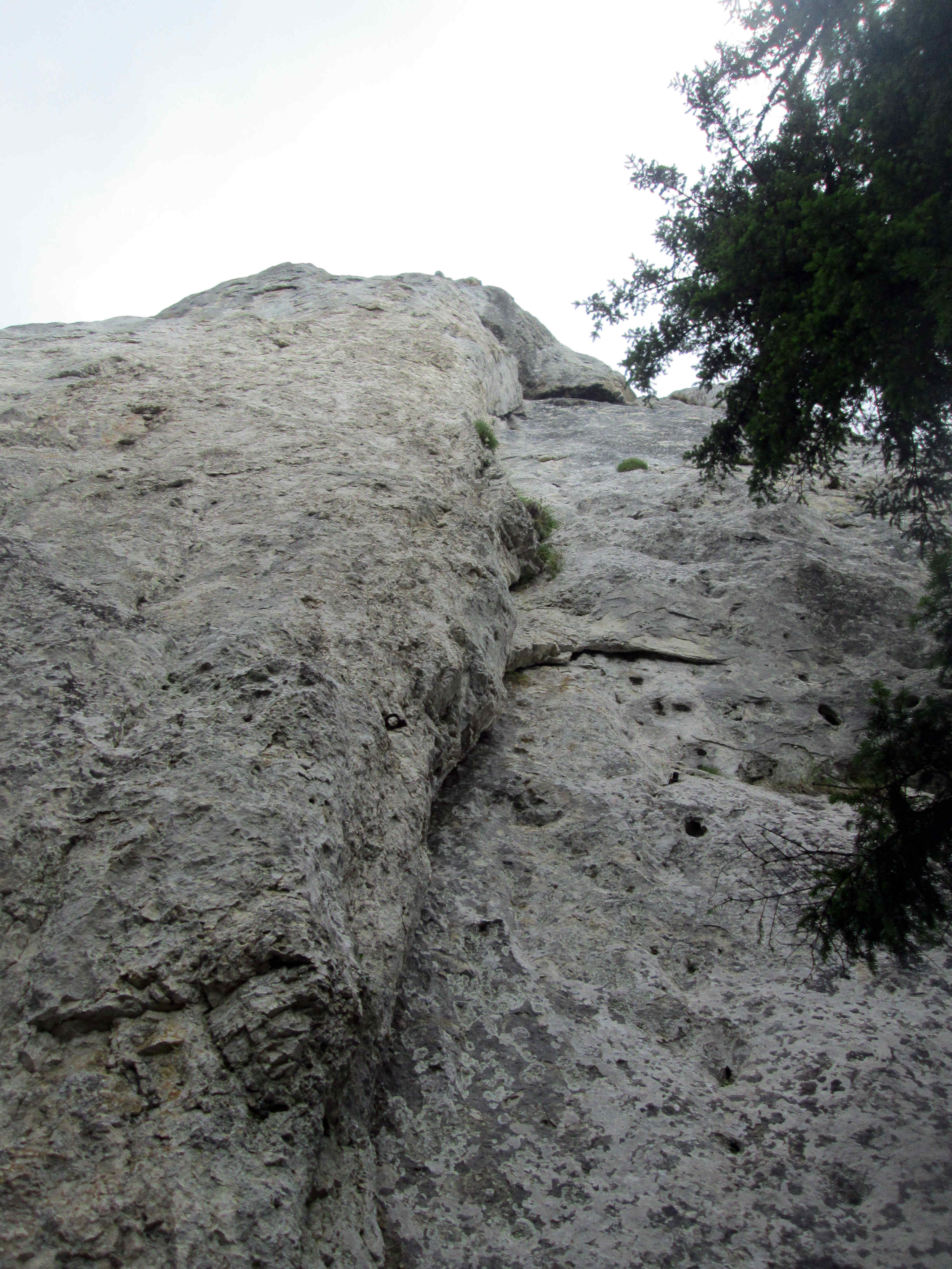 lacrima de piatra