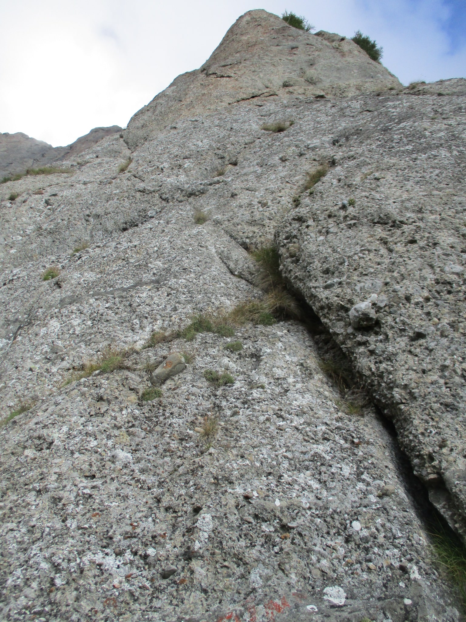 fisura cu brane