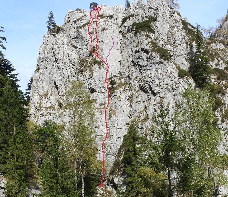 Sursă: Cristi Iacob