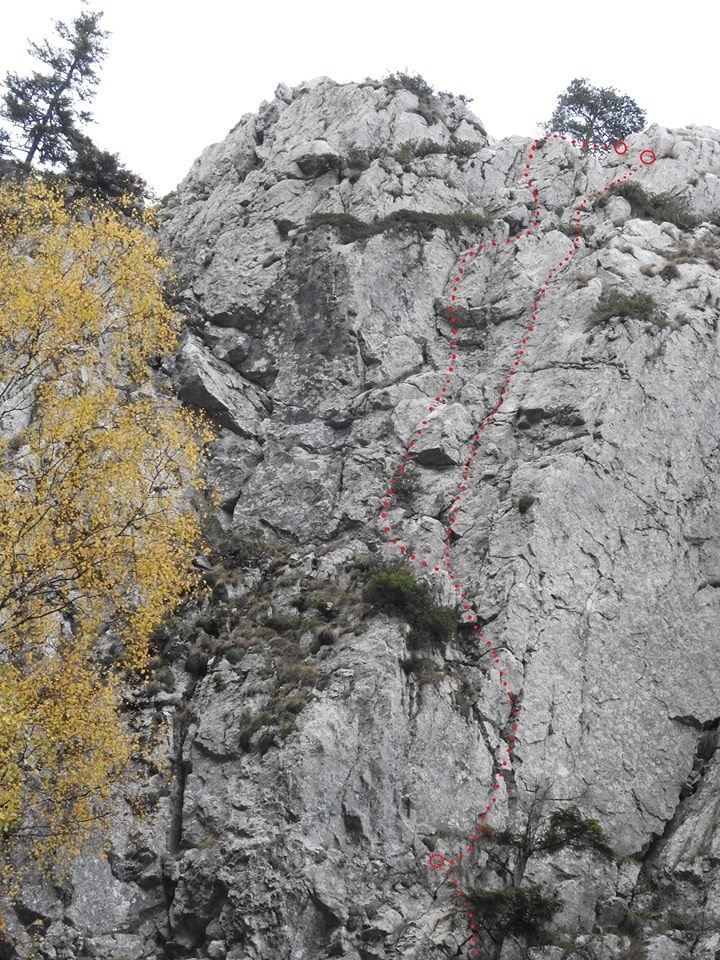 Sursă: Cristi Iacob