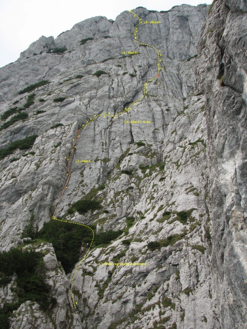 lespezile lirei