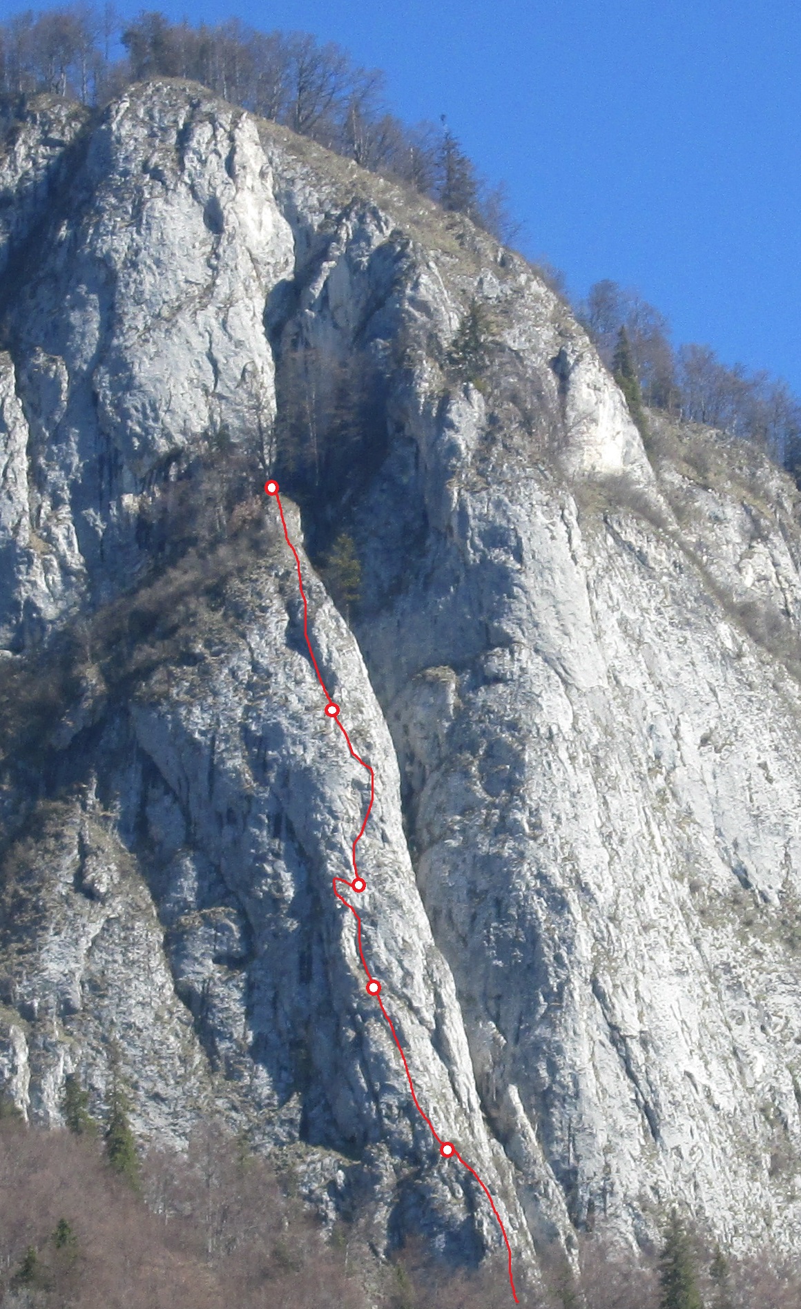 panseluta
