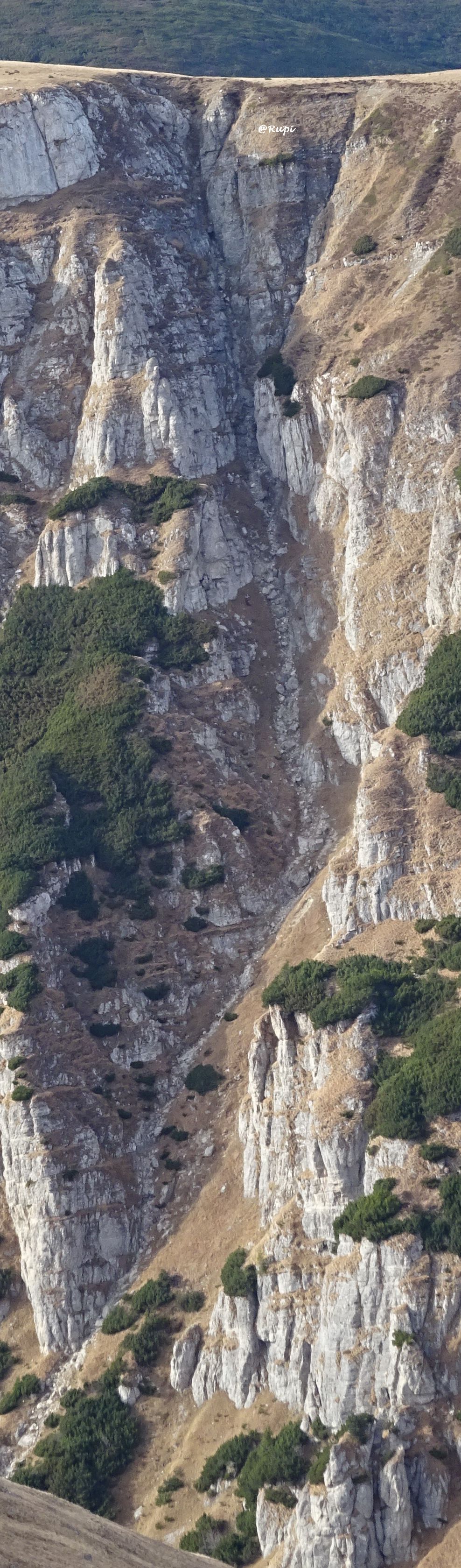 Vâlcelul Urșilor. Sursă foto: Rupi (2024)