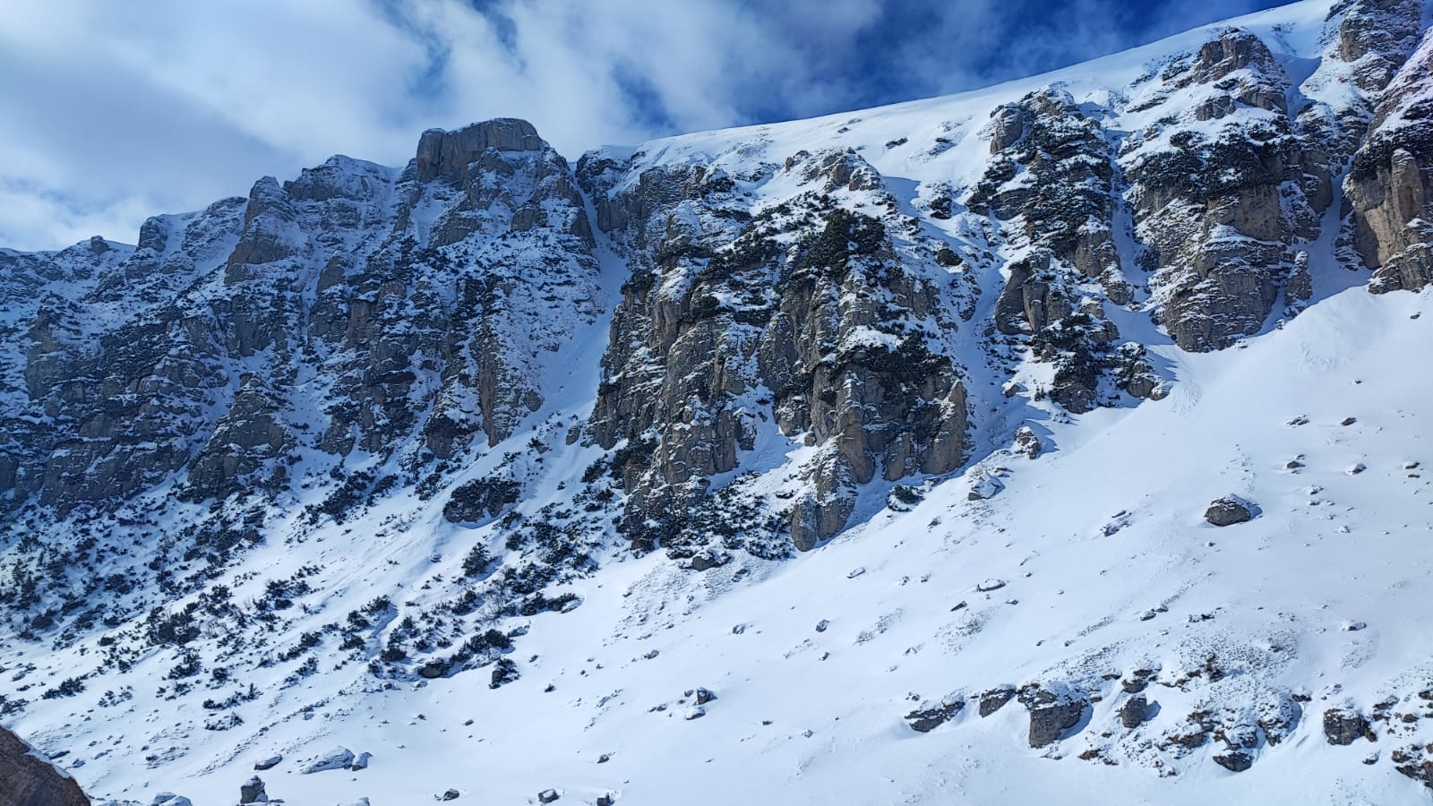 Sursă foto: Codrin Rotaru (2025)