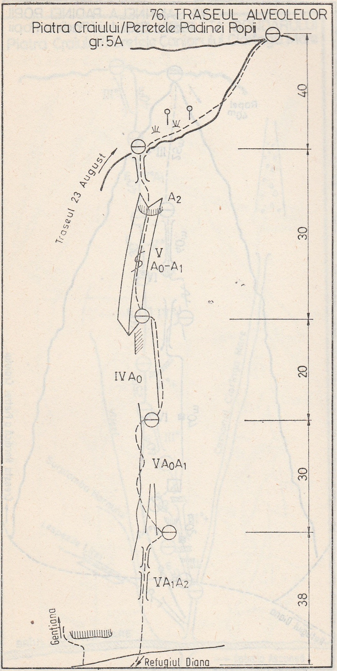 traseul alveolelor