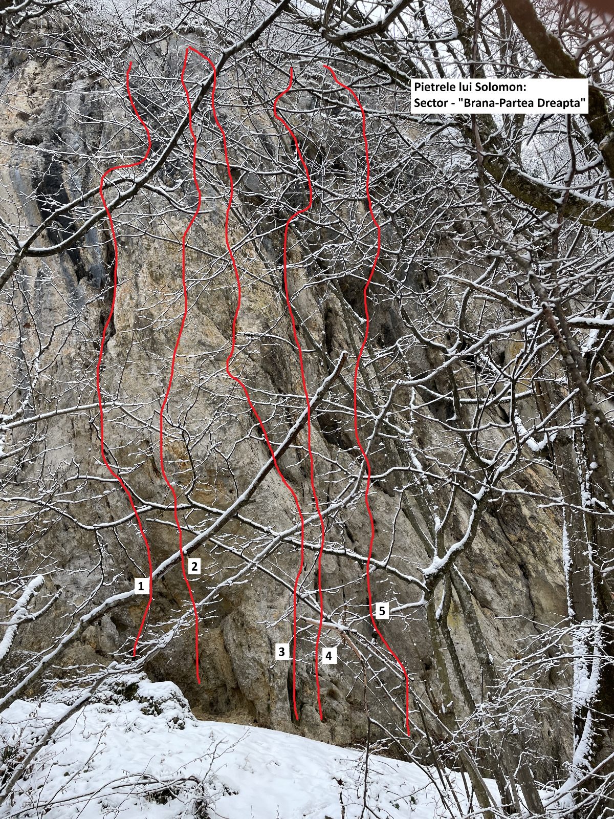 Brana - Partea Dreapta 1