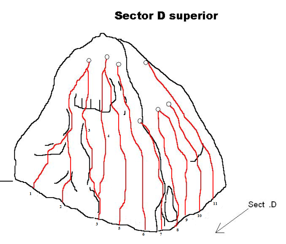 sector d superior