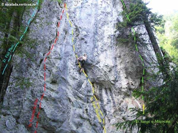 Sursă: escalada.verticon.ro