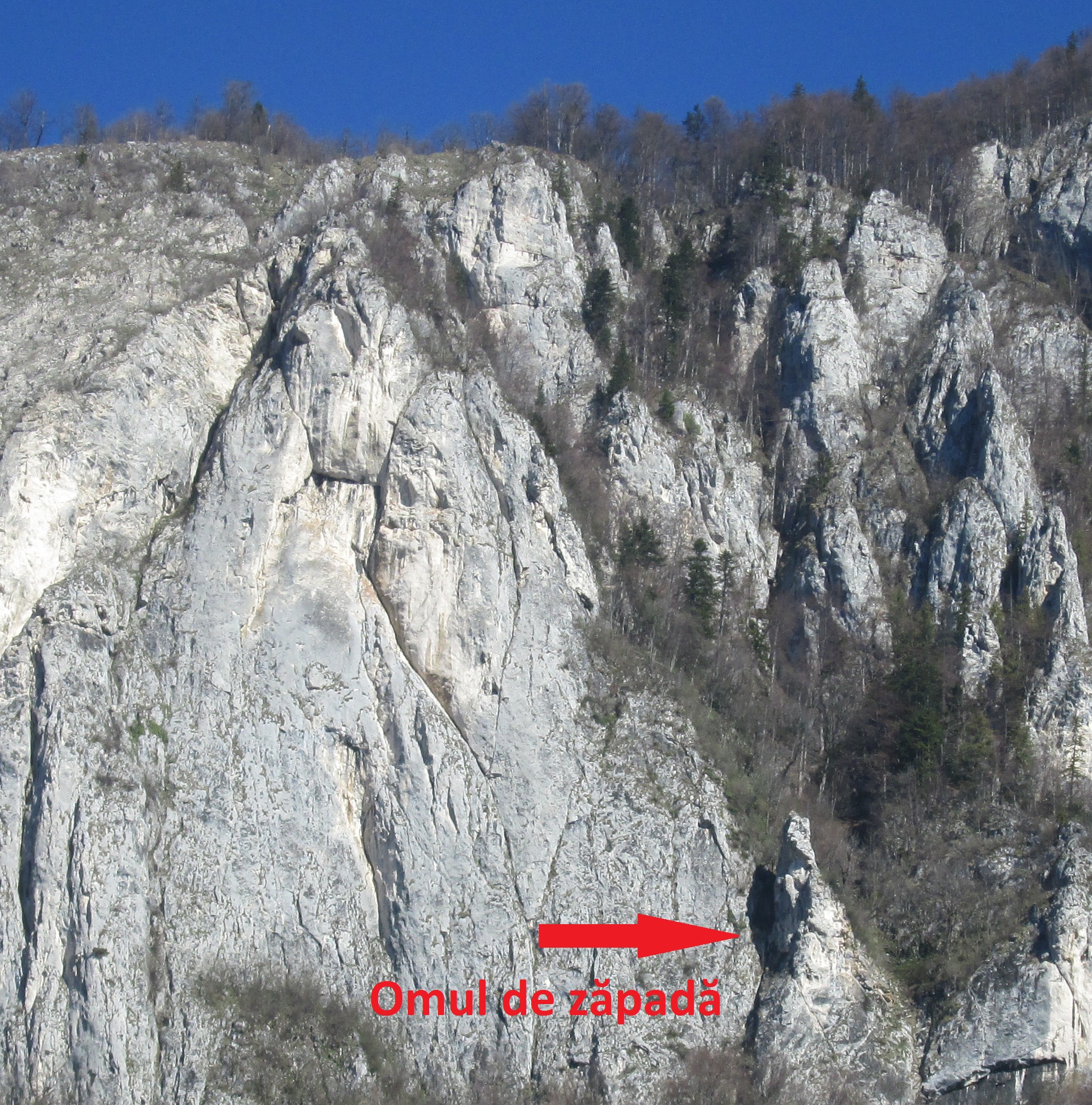 omul de zapada