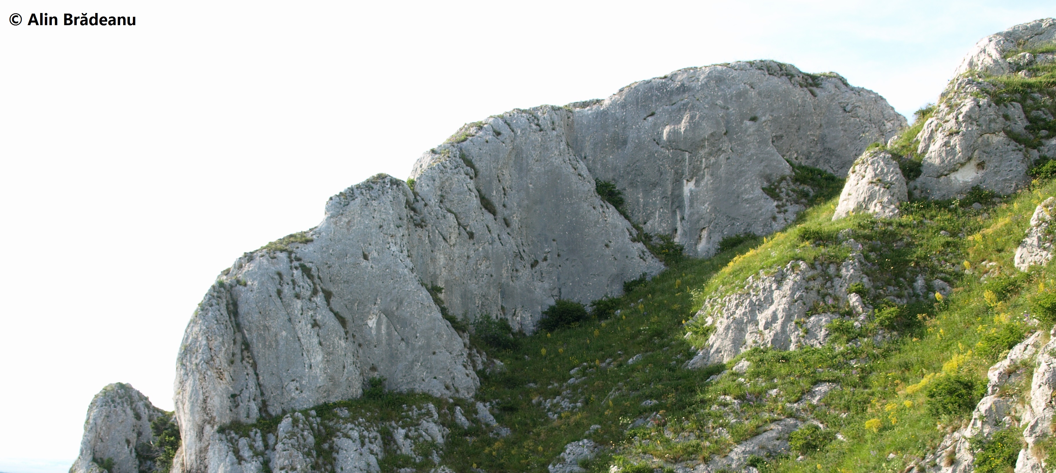Sursă: Alin Brădeanu